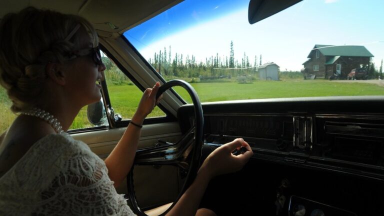 Car dashboard and steering wheel